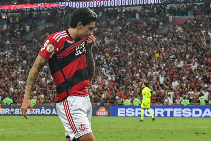 Palmeiras e Fluminense dominam a seleção do 1º turno do