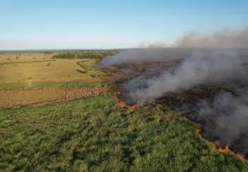Bombeiros de MS atuam no combate a dois incêndios florestais, no Pantanal e em Naviraí